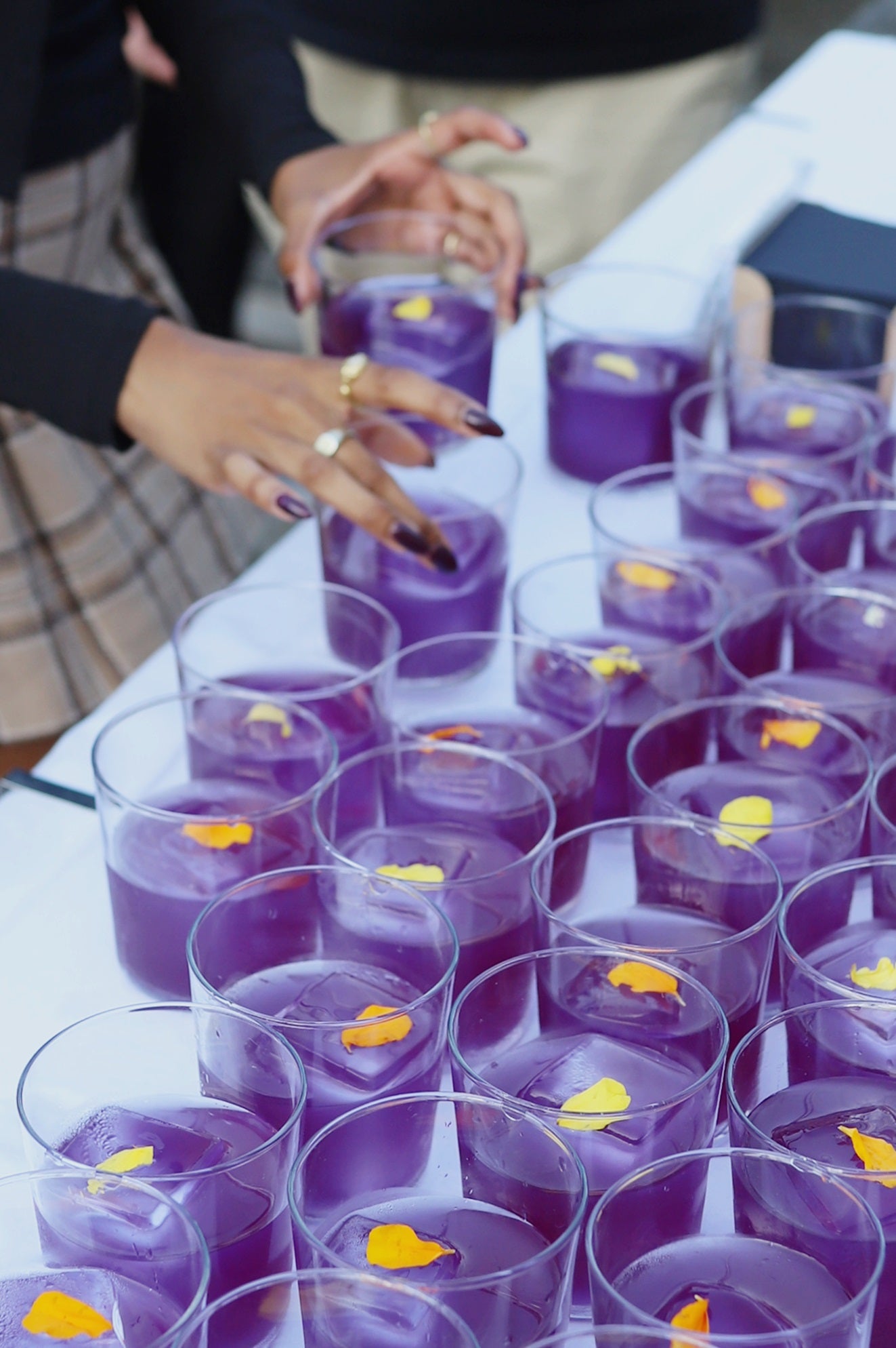 EMPOWER THE PALOMA 12.2%