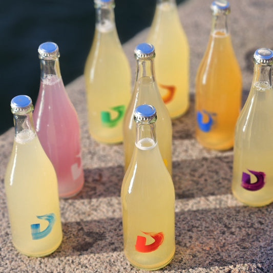 Kombucha Mix Box